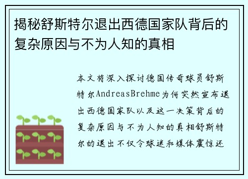 揭秘舒斯特尔退出西德国家队背后的复杂原因与不为人知的真相