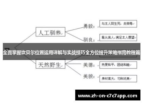 全面掌握坎贝尔位置运用详解与实战技巧全方位提升策略指南教程篇