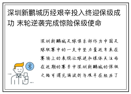深圳新鹏城历经艰辛投入终迎保级成功 末轮逆袭完成惊险保级使命